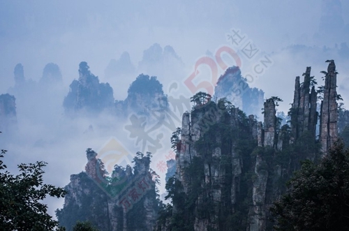 我与闺蜜们圆梦张家界阿凡达之旅的美好旅程781 / 作者:生活悠悠过 / 帖子ID:202339