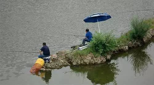 【江湖钓技】夏钓雨，鱼获满，但除了这几种雨天！631 / 作者:东门头人 / 帖子ID:221141