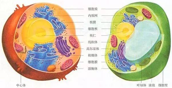 没想到恭城人曾经这么牛掰……厉害了！275 / 作者:该做的事情 / 帖子ID:224647