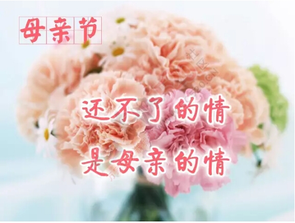 祝福 天下的母亲 节日快乐！601 / 作者:罗少爷 / 帖子ID:224943