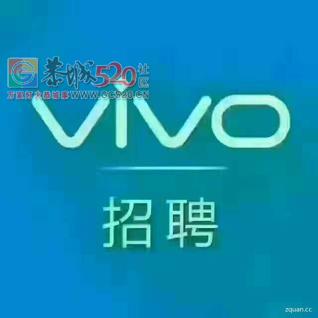 恭城县城vivo招导购数名！146 / 作者:分类小编 / 帖子ID:233837