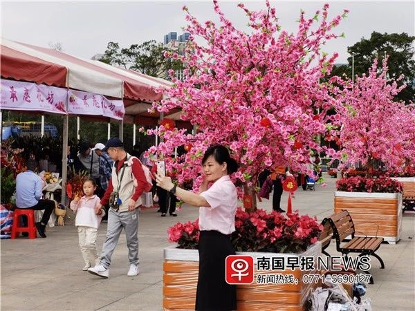 太美！广西迎春花市免费开放，1000多种鲜花在这里盛开！12 / 作者:万胜 / 帖子ID:270147