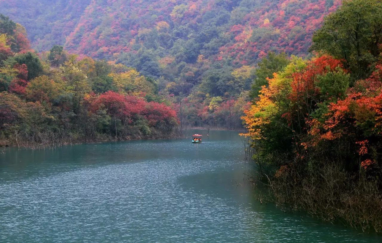 重磅！湖北这个景区对全体桂林人免费开放一年！只因……964 / 作者:登山涉水 / 帖子ID:270688