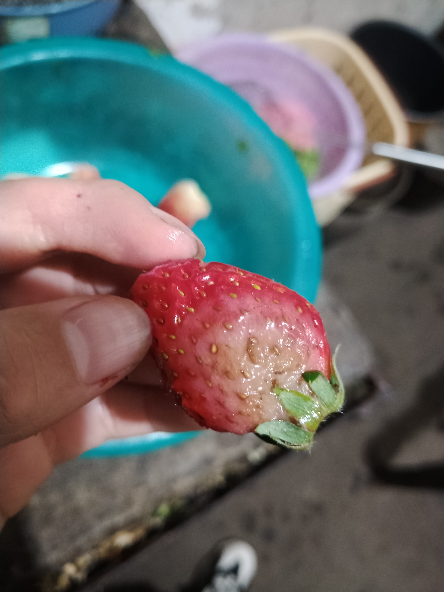 坏草莓照片图片