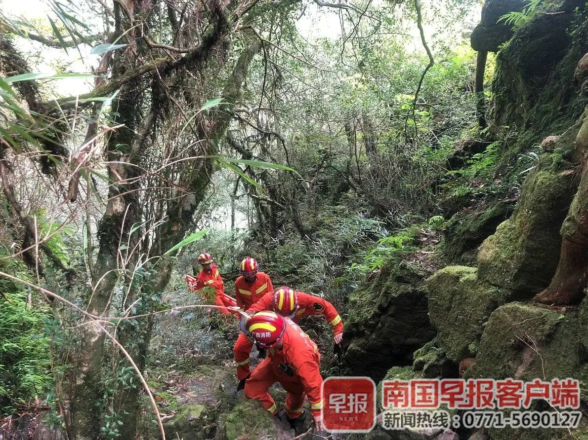 罚！19名驴友擅闯广西大瑶山，1人一度处于昏迷状态，200多人展开营救647 / 作者:呆桃 / 帖子ID:271827