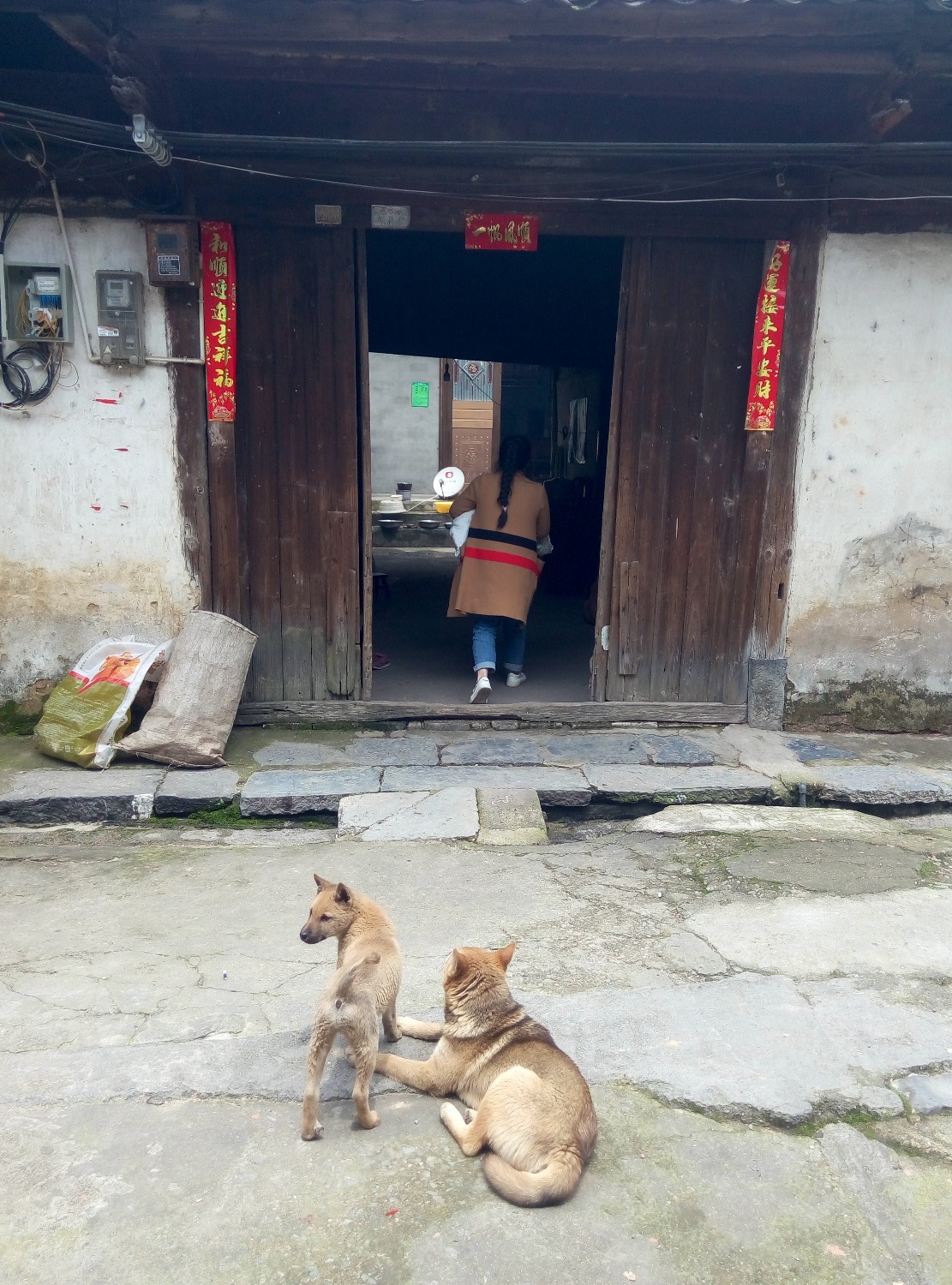 两江油麻古圩237 / 作者:麻辣鸡翅 / 帖子ID:272531