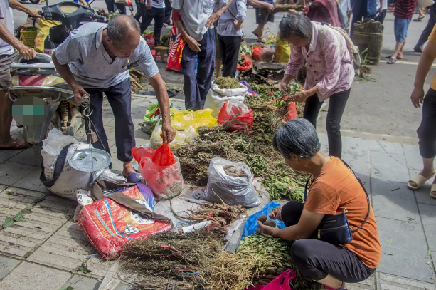 恭城端午药市节来啦！赶药市、看龙狮、包粽子、仲夏狂欢夜，给你不一样的节日氛围！662 / 作者:恭城520小奈姐姐 / 帖子ID:272661