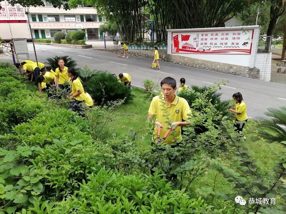 党旗领航，莲花初级中学深入开展“劳动美”社会实践主题教育活动476 / 作者:论坛小编04 / 帖子ID:273107