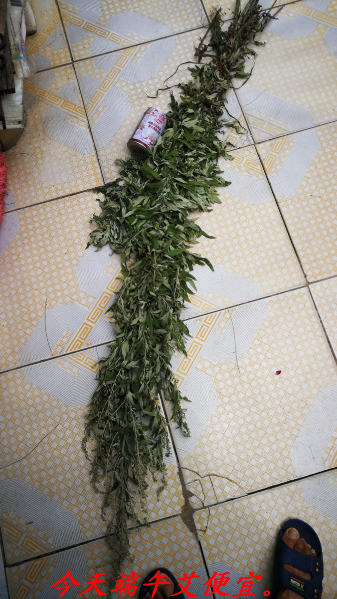 走马观花逛恭城首届端午瑶药文化节。408 / 作者:平安大叔 / 帖子ID:273190