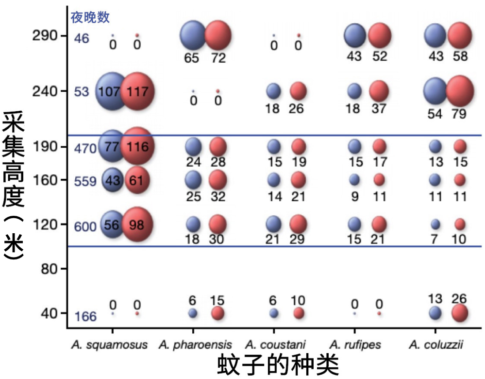 到底住几楼，才能没蚊子？879 / 作者:華大夫 / 帖子ID:273587