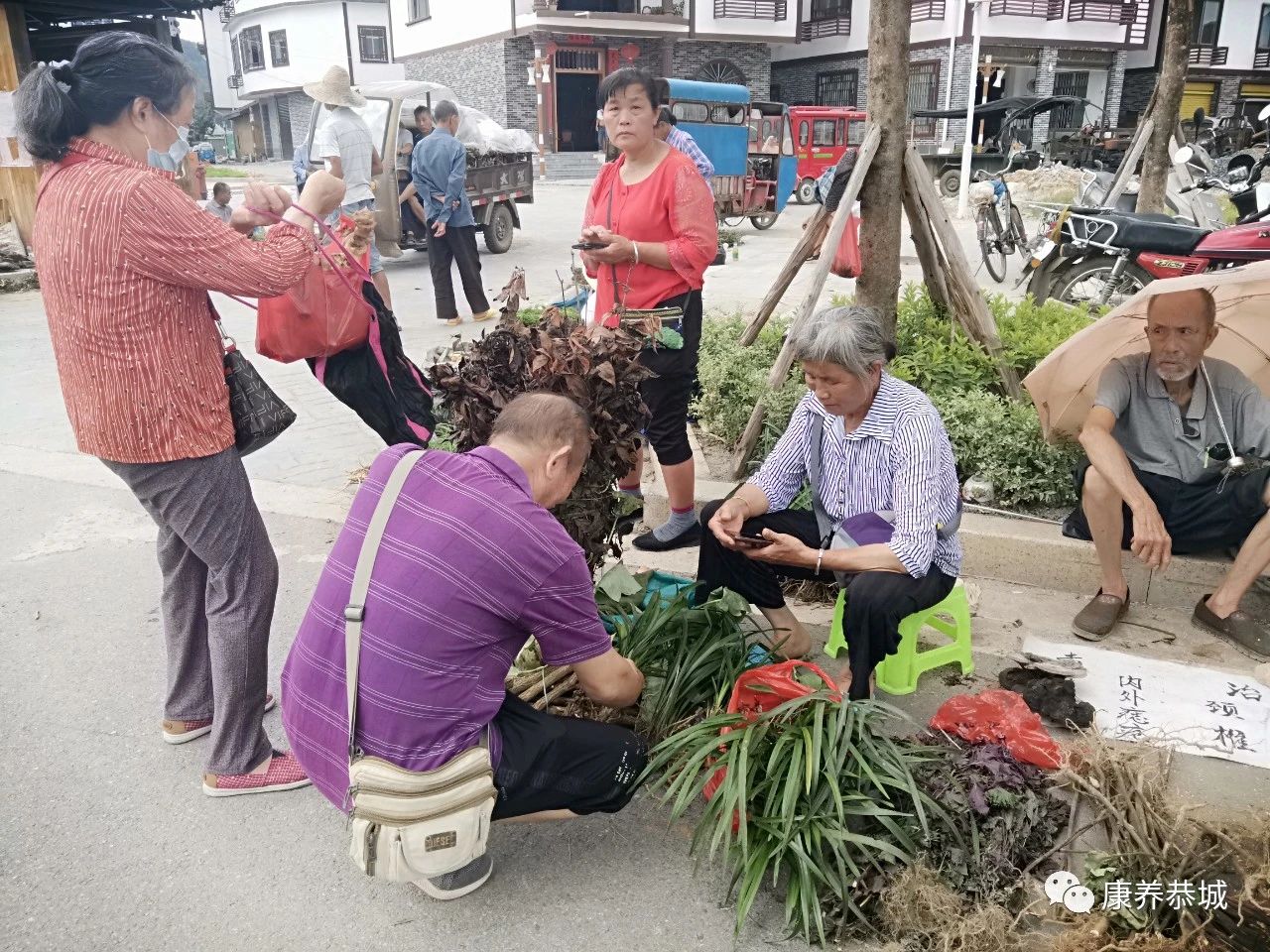 广西恭城瑶乡“大端午”药市：上好药材交易热闹167 / 作者:華大夫 / 帖子ID:273803