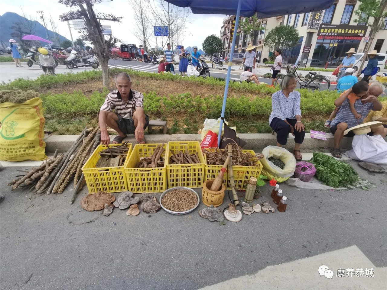 广西恭城瑶乡“大端午”药市：上好药材交易热闹787 / 作者:華大夫 / 帖子ID:273803