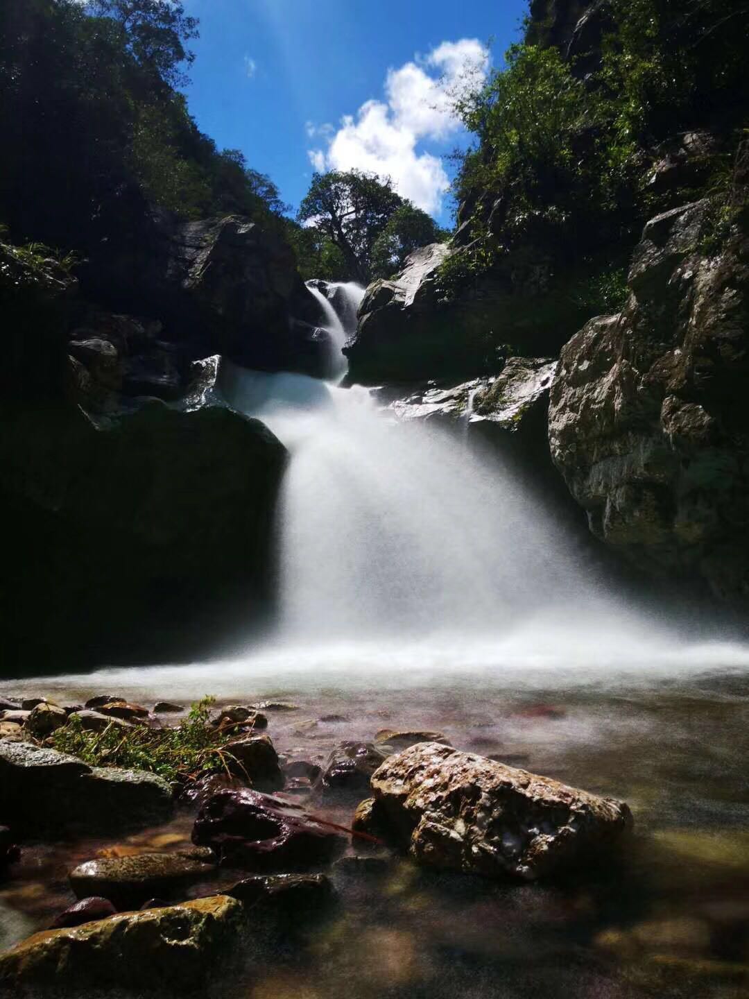 避暑胜地银殿山，今年有人克了没995 / 作者:李志敏 / 帖子ID:274167