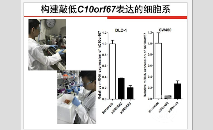 新华社调查：“神童”们的奖是怎么评出的？805 / 作者:登山涉水 / 帖子ID:274250