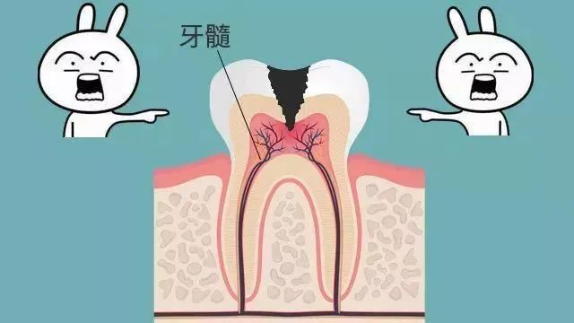 大部分中国人都有的口腔问题，越早治疗越省钱462 / 作者:等风十里 / 帖子ID:276013