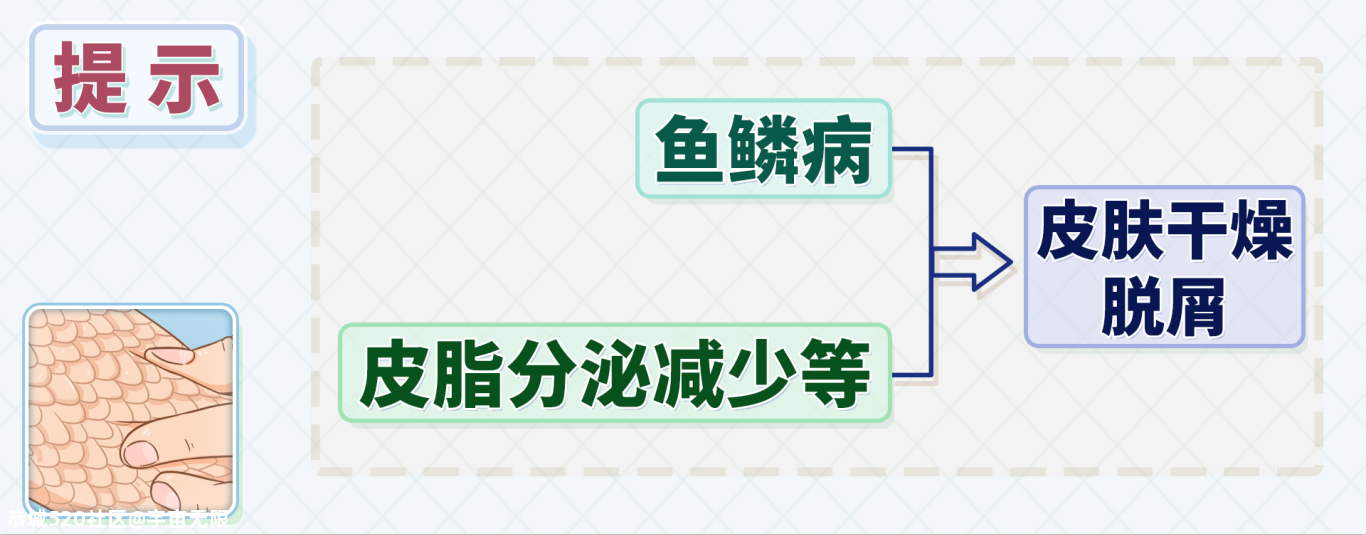 天气转凉，腿上的皮肤又开始干燥、脱皮？这就是“鱼鳞病”吗？843 / 作者:宇宙无限 / 帖子ID:277323