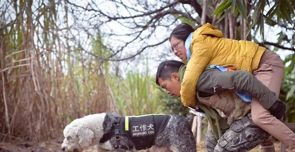 带上200块和一条狗，抱着重病女友环游中国！央视点赞董卿落泪，如今已成这副模样219 / 作者:華大夫 / 帖子ID:278831