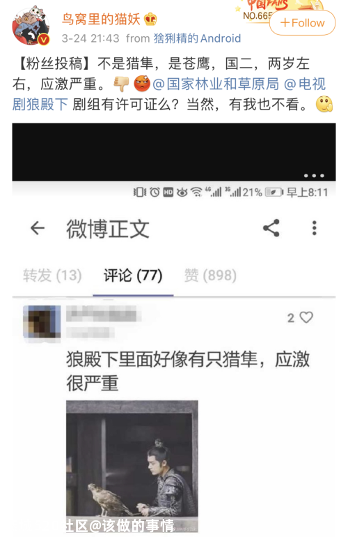 用国家二级保护动物拍摄还假称特效？《狼殿下》引争议727 / 作者:该做的事情 / 帖子ID:279579