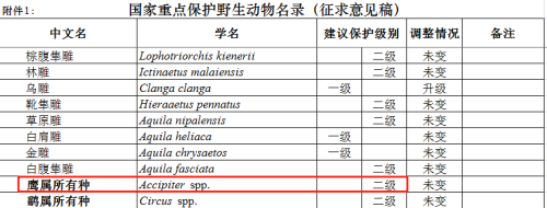 用国家二级保护动物拍摄还假称特效？《狼殿下》引争议198 / 作者:该做的事情 / 帖子ID:279579