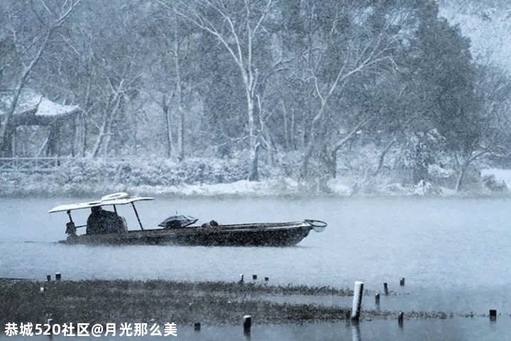 大雪｜白首天涯，雪落归家533 / 作者:月光那么美 / 帖子ID:280176