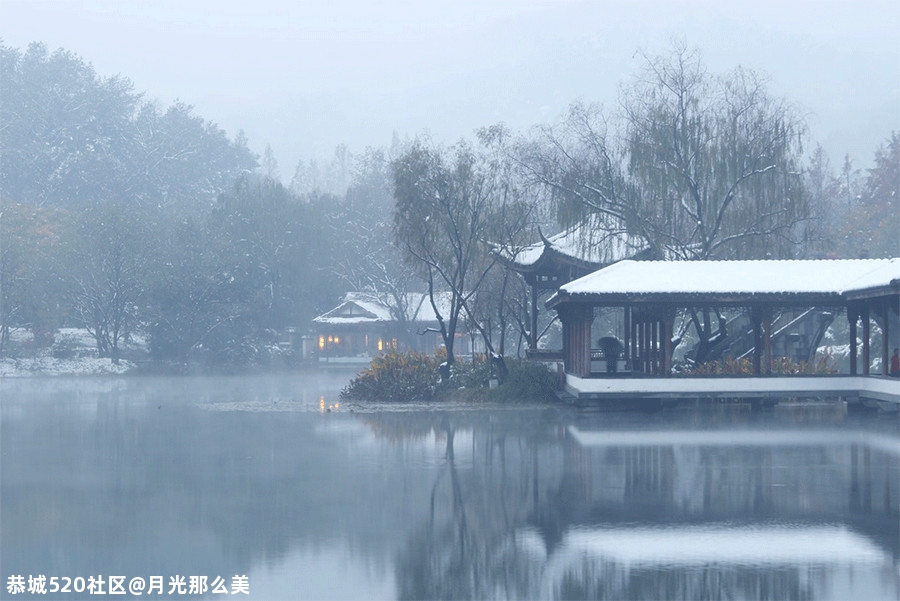 大雪｜白首天涯，雪落归家67 / 作者:月光那么美 / 帖子ID:280176