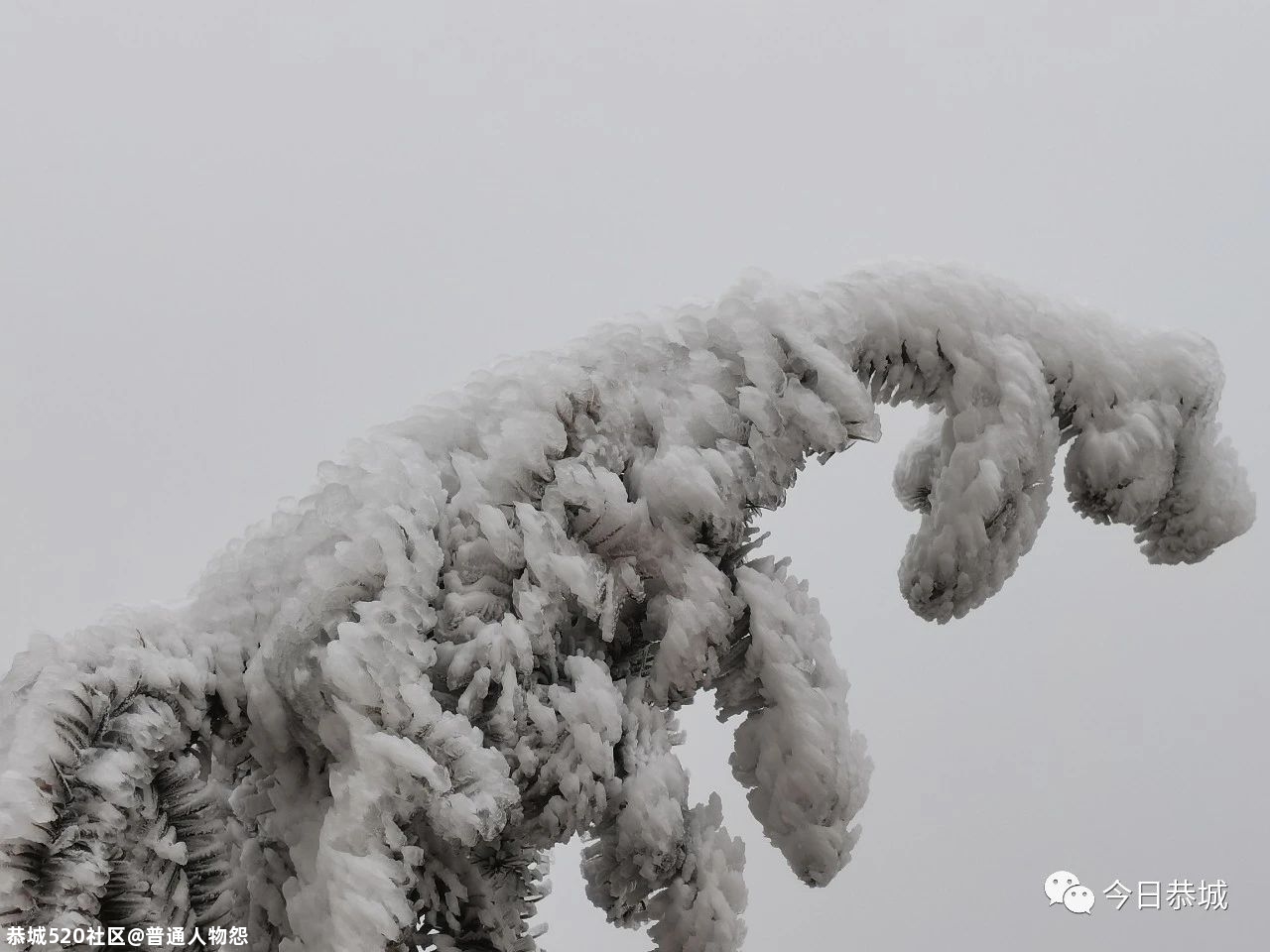 燕子山雪景来袭，请猛戳！101 / 作者:普通人物怨 / 帖子ID:280553