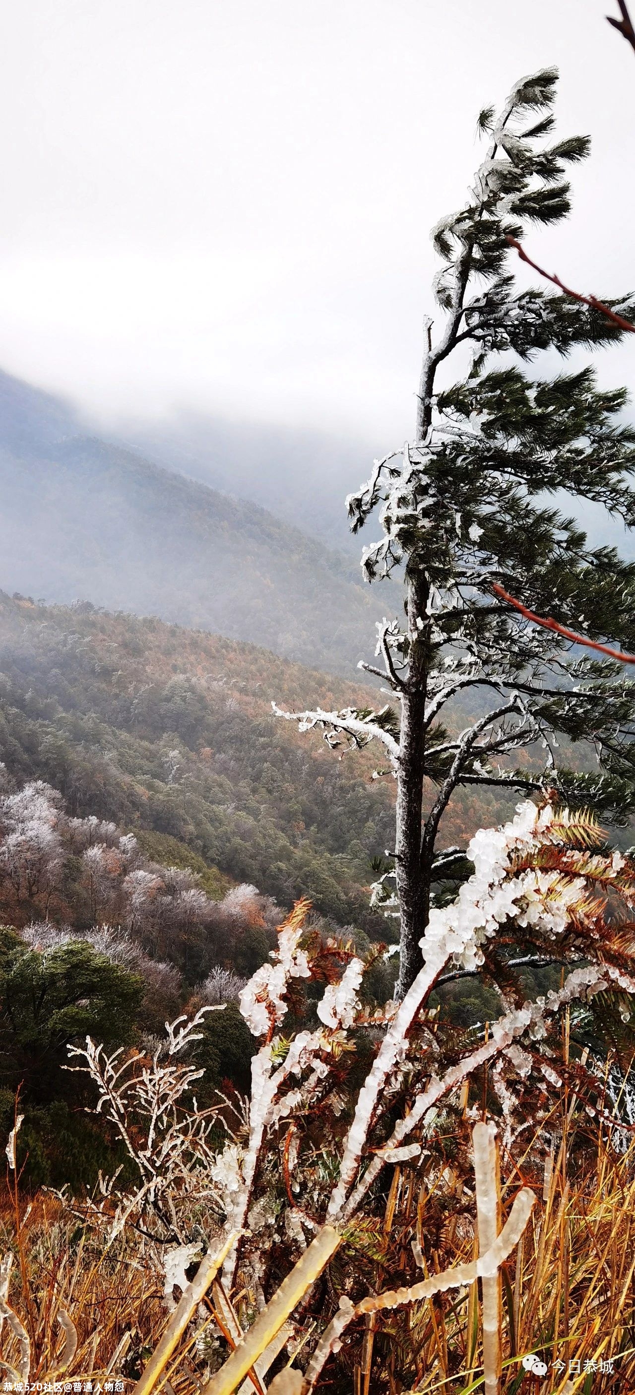 燕子山雪景来袭，请猛戳！844 / 作者:普通人物怨 / 帖子ID:280553