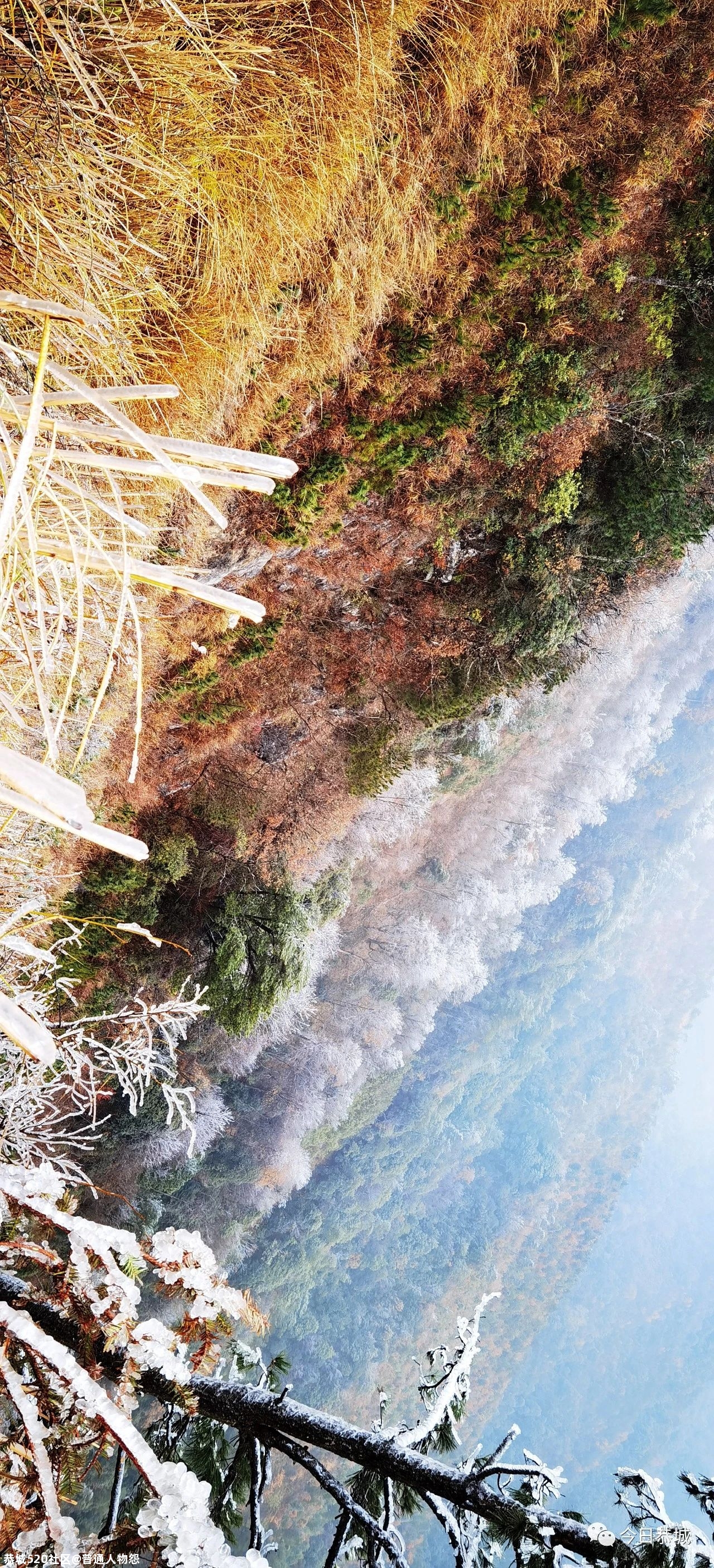 燕子山雪景来袭，请猛戳！180 / 作者:普通人物怨 / 帖子ID:280553