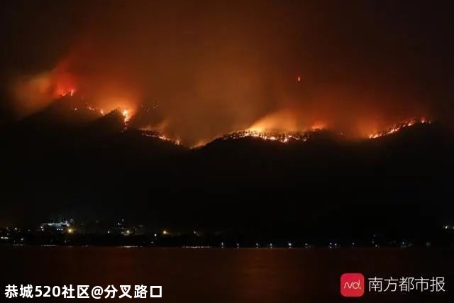 造成19人牺牲的凉山火灾，原因查清966 / 作者:分叉路口 / 帖子ID:280703