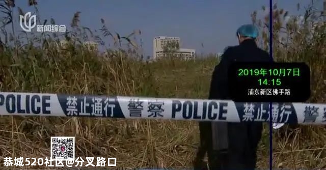 芦苇荡惊现无名女尸，警方排查睡衣网购信息破案！凶手竟是…571 / 作者:分叉路口 / 帖子ID:280704