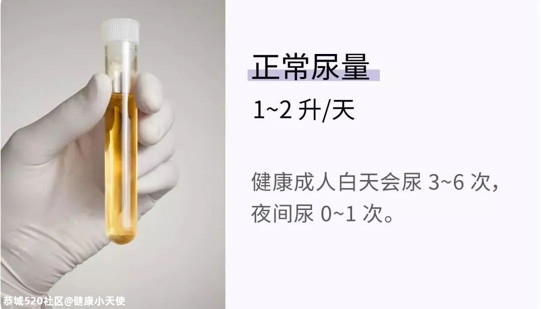 一天上几次厕所才算正常？22 组健康指标，让你更了解身体状况628 / 作者:健康小天使 / 帖子ID:281350