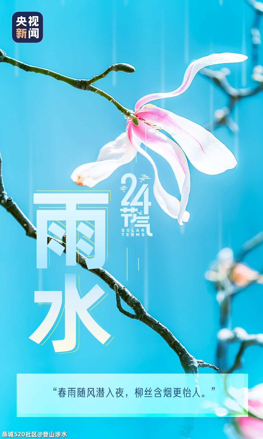 好雨知时节~194 / 作者:登山涉水 / 帖子ID:282514