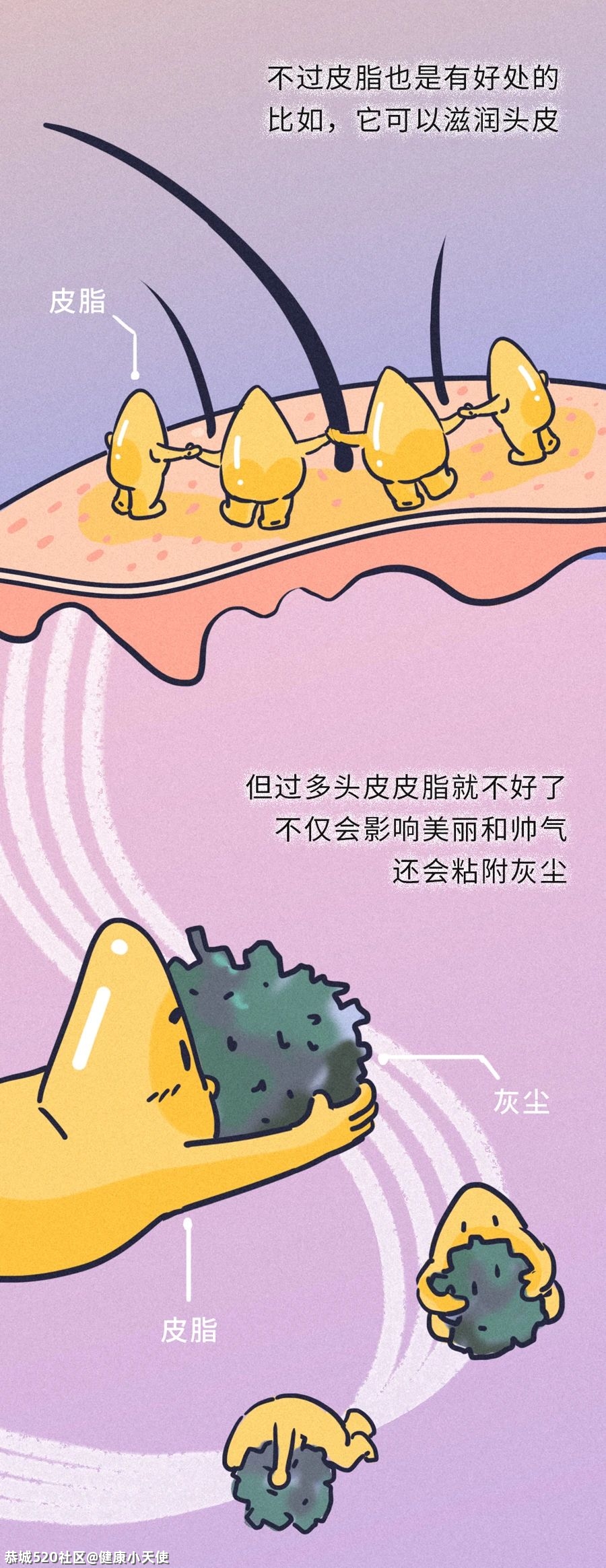 头发多久洗一次最好？每天洗会脱发？标准答案来了！732 / 作者:健康小天使 / 帖子ID:282677