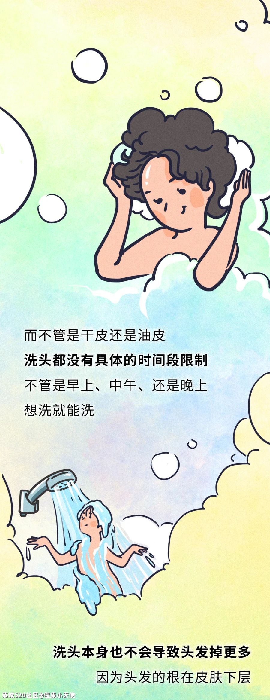 头发多久洗一次最好？每天洗会脱发？标准答案来了！443 / 作者:健康小天使 / 帖子ID:282677