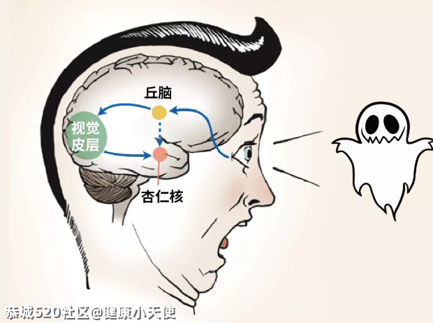 喜欢恐怖片的人，脑子都是怎么长的？137 / 作者:健康小天使 / 帖子ID:283152