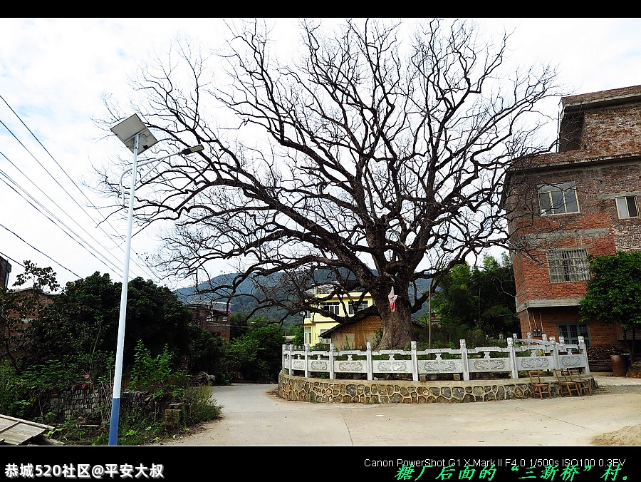 坐电马骑行林家埠至寨山厄盘山公路。849 / 作者:平安大叔 / 帖子ID:286019