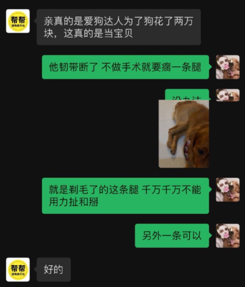 它的惨死，终于让全网不得不发声514 / 作者:儿时的回忆 / 帖子ID:287176