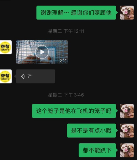 它的惨死，终于让全网不得不发声454 / 作者:儿时的回忆 / 帖子ID:287176