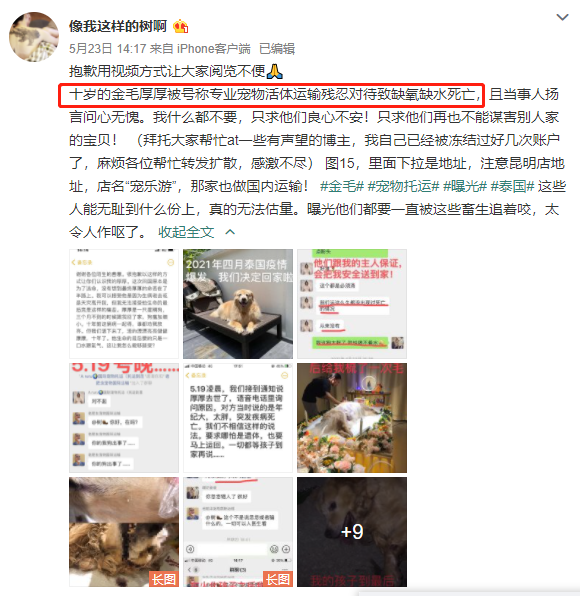 它的惨死，终于让全网不得不发声438 / 作者:儿时的回忆 / 帖子ID:287176