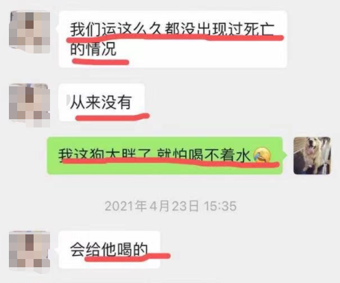 它的惨死，终于让全网不得不发声38 / 作者:儿时的回忆 / 帖子ID:287176