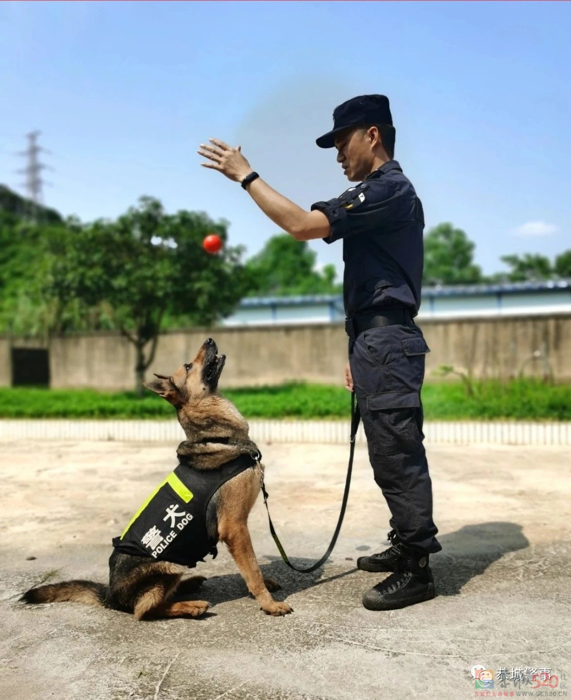 曾经的军人，如今的警察 | 八一建军节，听他们说……607 / 作者:论坛小编01 / 帖子ID:287614