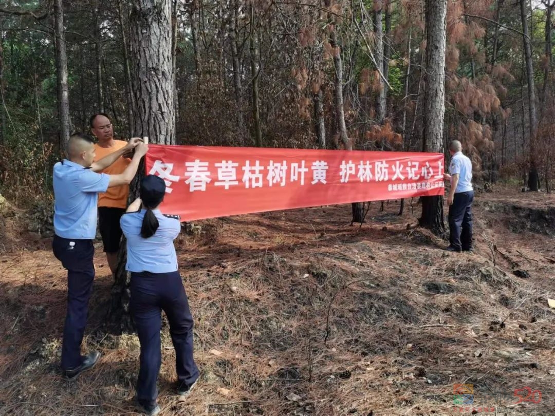 田间烧草引山火  无视安全酿成错738 / 作者:论坛小编01 / 帖子ID:289573