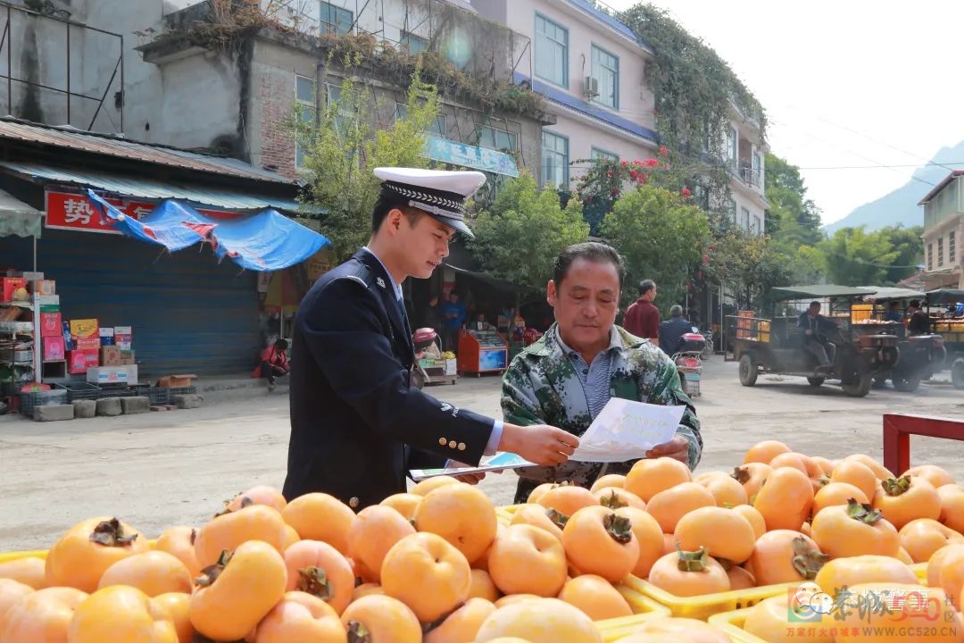 美丽乡村行｜交通安全宣传进果园，交警助农“柿”丰收181 / 作者:论坛小编01 / 帖子ID:290073