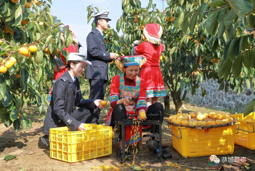 美丽乡村行｜交通安全宣传进果园，交警助农“柿”丰收317 / 作者:论坛小编01 / 帖子ID:290073