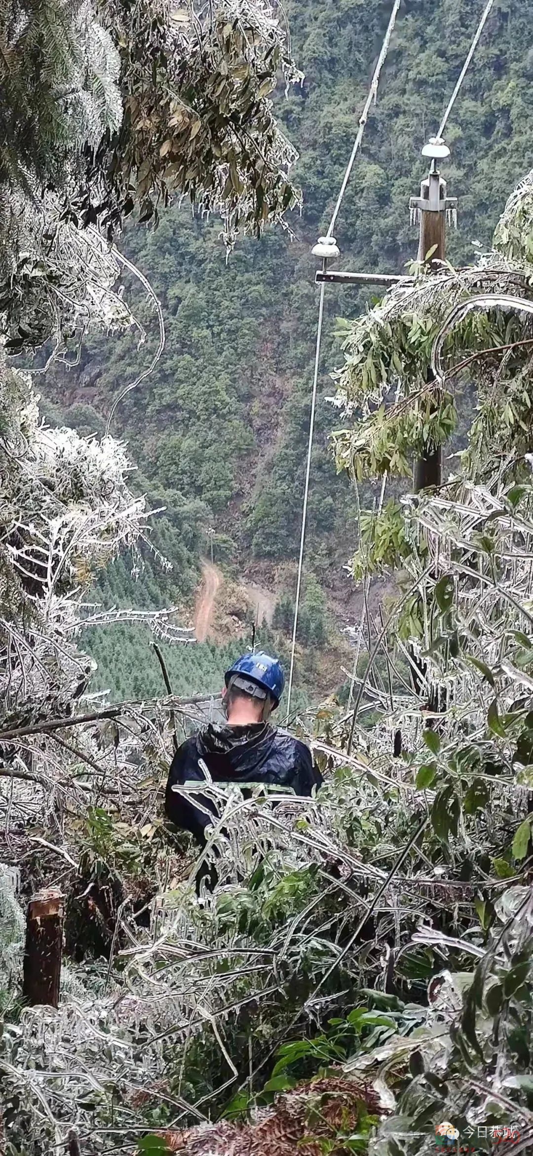 抢修保供电 春节暖心服务“不打烊”75 / 作者:论坛小编01 / 帖子ID:292549