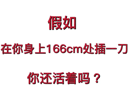 假如在你身上166cm处插一刀.....410 / 作者:圆月小侠 / 帖子ID:294179