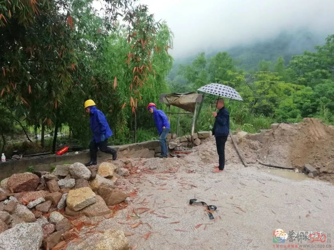 莲花镇多部门联合执法，整治非法采砂2 / 作者:论坛小编01 / 帖子ID:294615