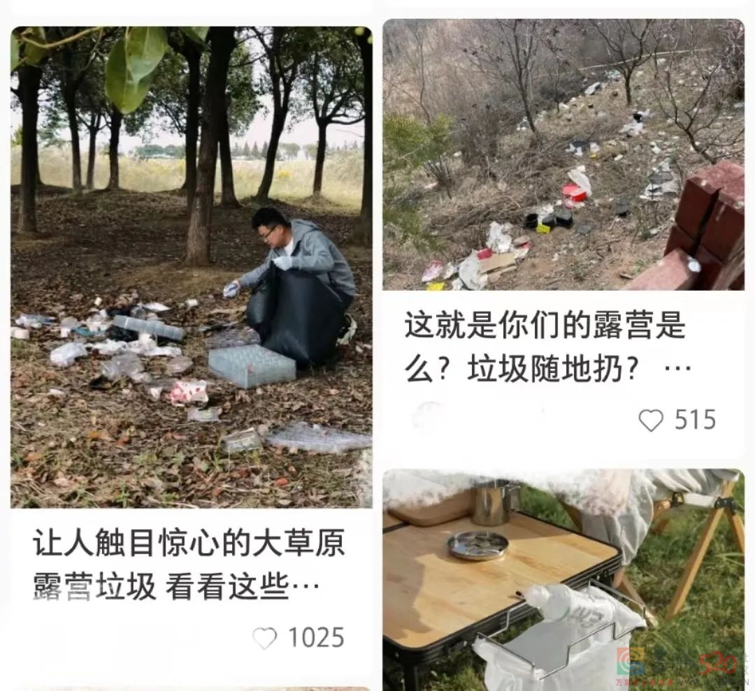 网红露营，比大学澡堂还挤617 / 作者:儿时的回忆 / 帖子ID:295066