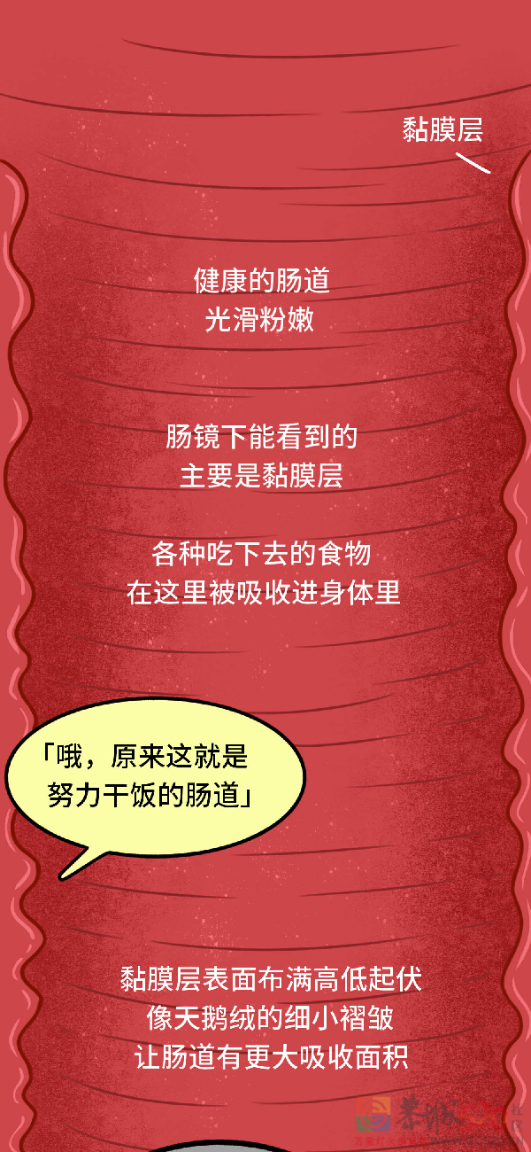 发现就是中晚期的肠癌，一个方法可以避免421 / 作者:健康小天使 / 帖子ID:296541