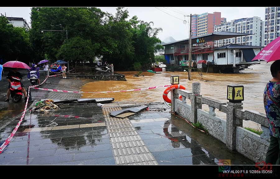 今天的大水巳明显消退了899 / 作者:平安大叔 / 帖子ID:297009